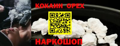 прущие грибы Будённовск