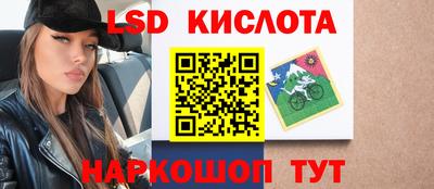 прущие грибы Будённовск