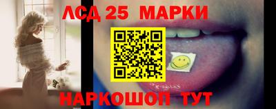 прущие грибы Будённовск