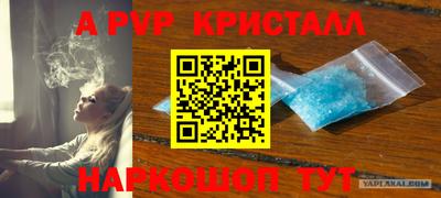 прущие грибы Будённовск