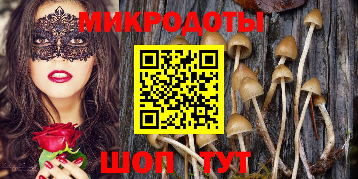 Галлюциногенные грибы Cubensis Уфа